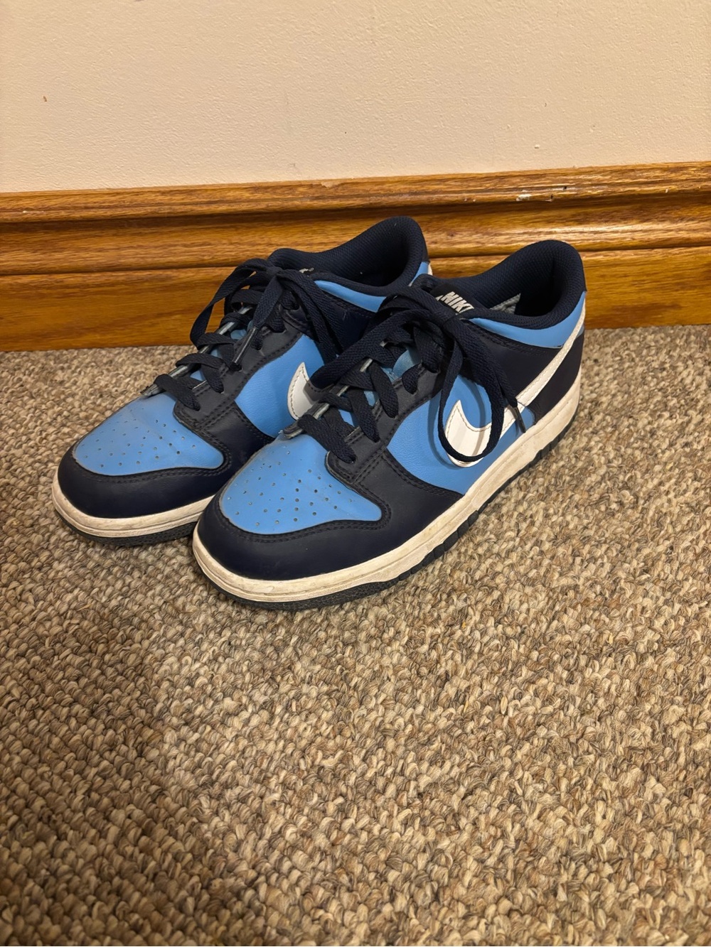Nike Low Top Sneakers